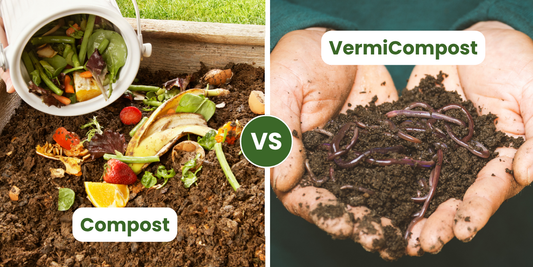 Vermicompost vs Compost: What’s the Difference & Why It Matters for Sustainable Farming?