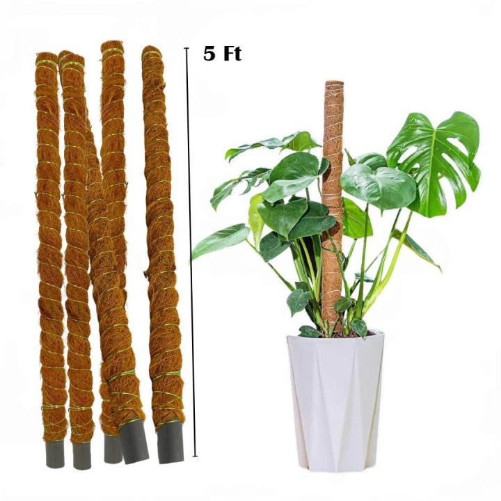 Coco stick small