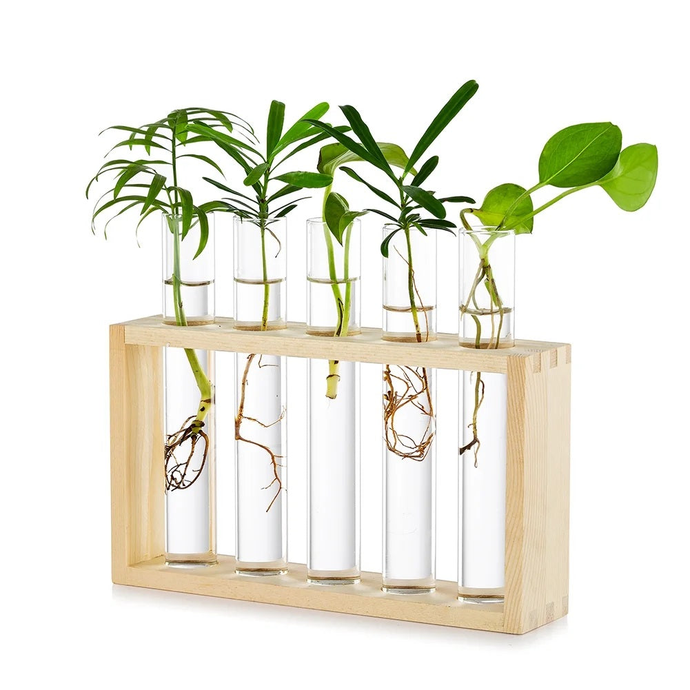 Flower Tube | Transparent Water Tube for Fresh Flowers