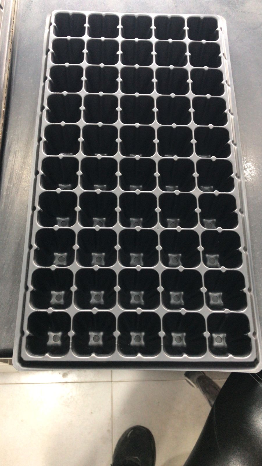 Seedling Tray (32 / 50 / 72 Hole) | Nursery Seed Starting Tray