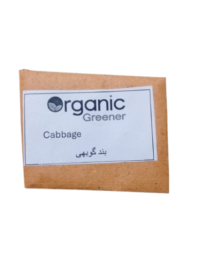 Cabbage Seeds – Band Gobhi Seeds for Kitchen Gardening