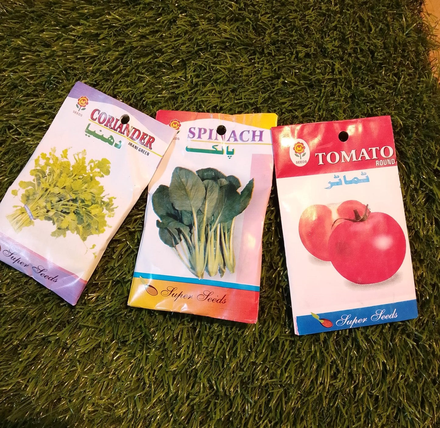 Organic Seed Pack of 3 – Coriander | Spinach | Tomato | Easy to Grow