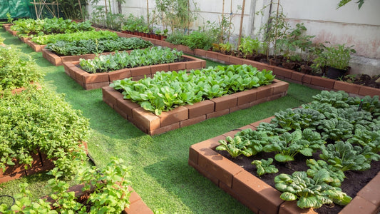 KITCHEN GARDENING
