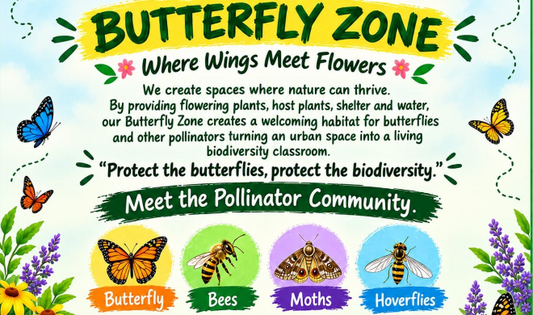 The Butterfly Zone at Organic Greener’s Sponge Park