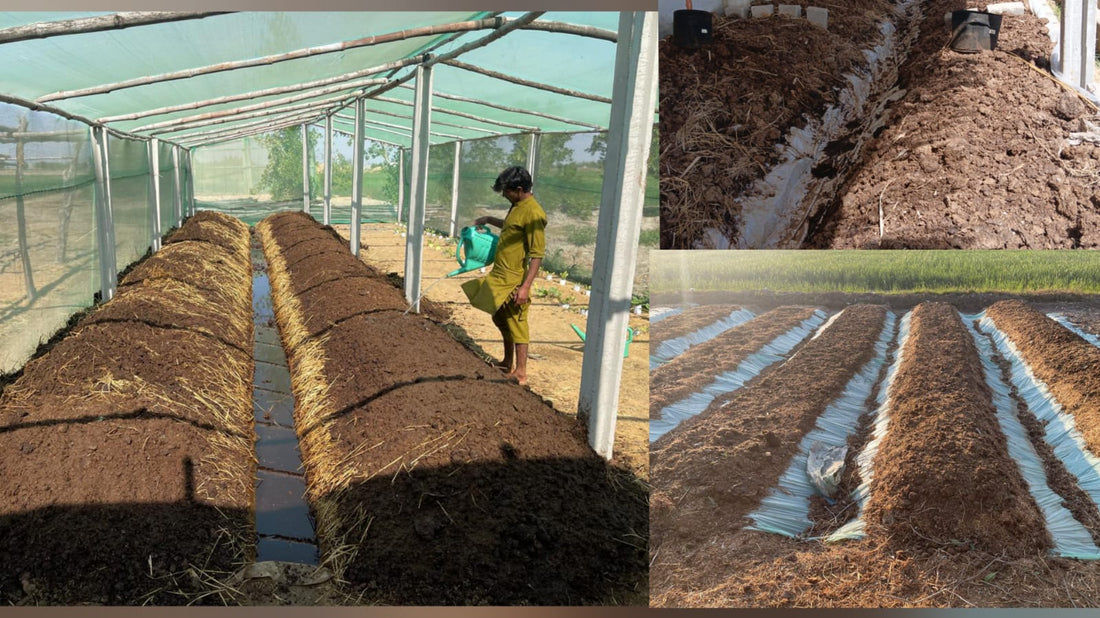 “The Complete Guide to Vermicomposting: Process, Benefits & Impact”