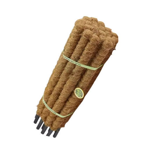 Coco stick