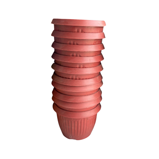 Standard Red pots for plants
