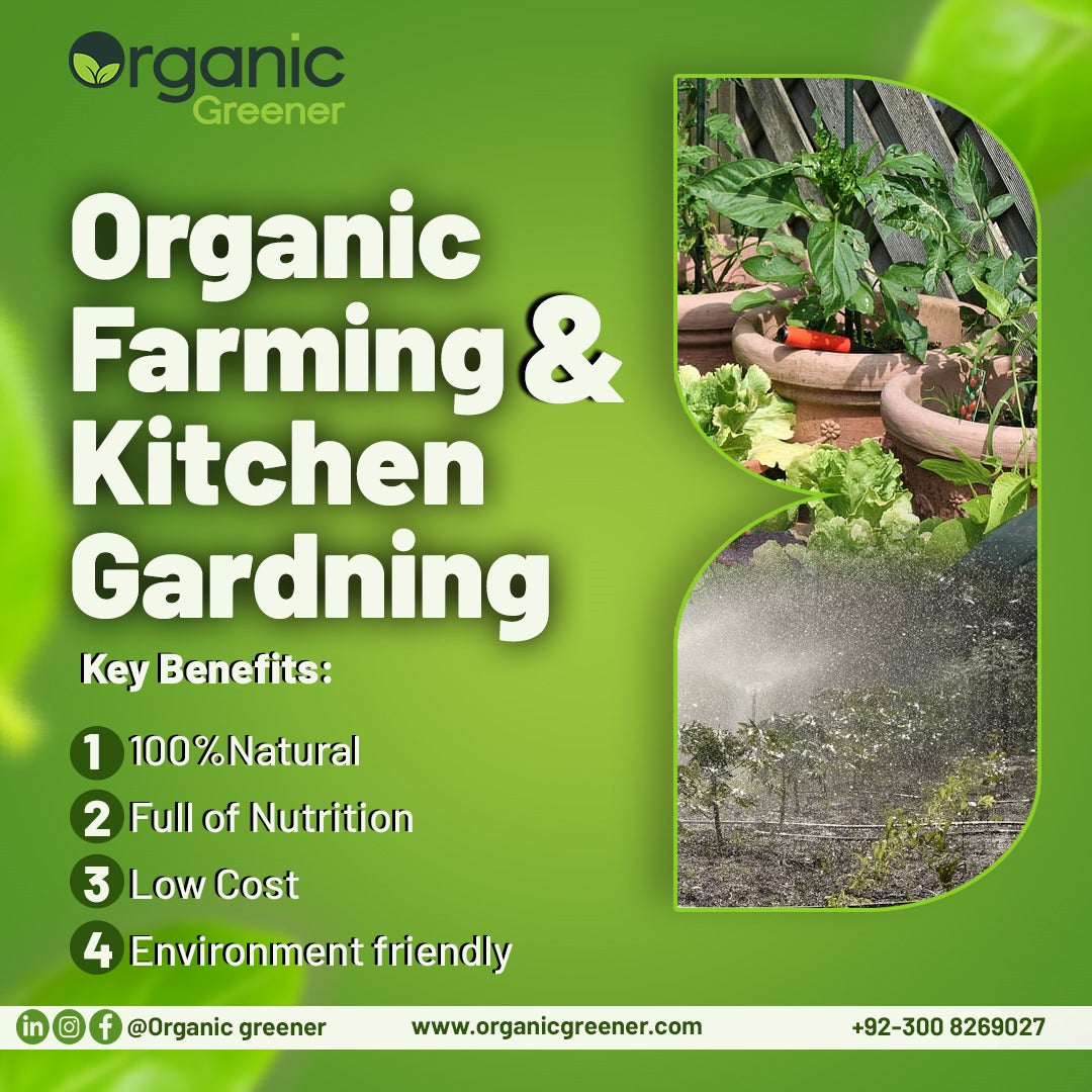 Organic Vermicompost Nutrient Rich, Pure Product of Karachi, Pakistan