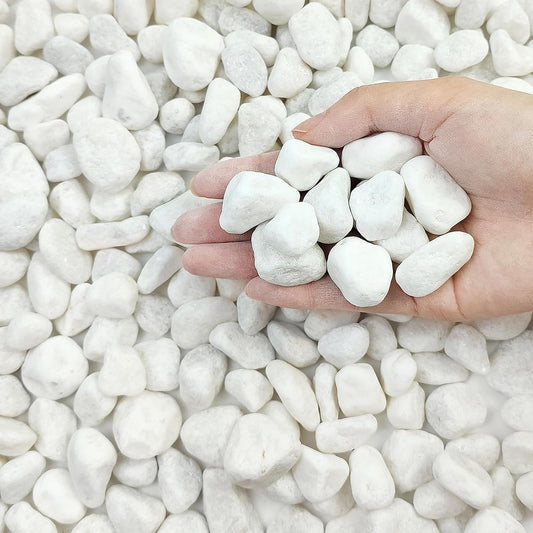 Pebbles White 1 Kg - White Stones