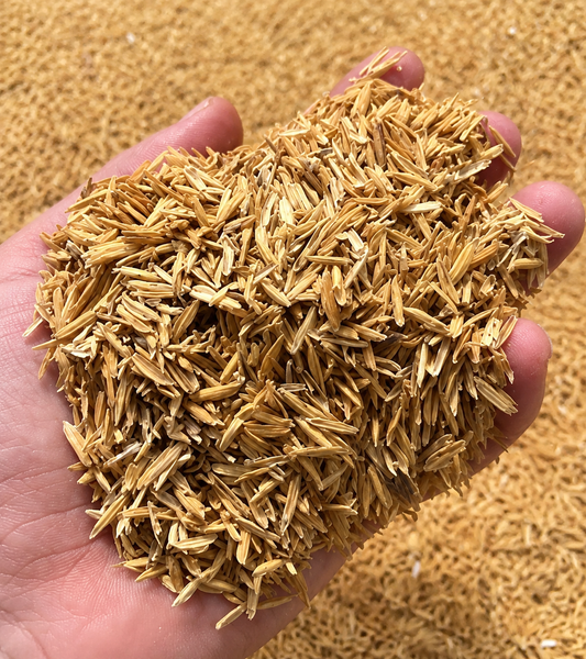 Premium Rice Husk 5kg for Gardening & Plants – Organic Soil Conditioner for Better Drainage
