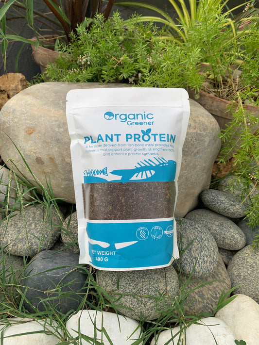 Plant Protien (Fish meal Fertilizer) available in 400g Organic Greener